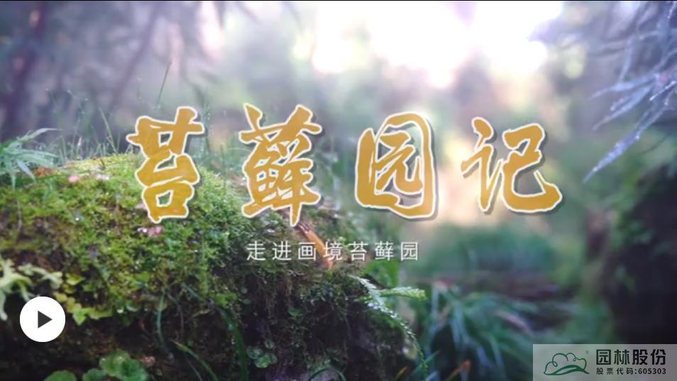 亚洲精品白浆高清久久久久久