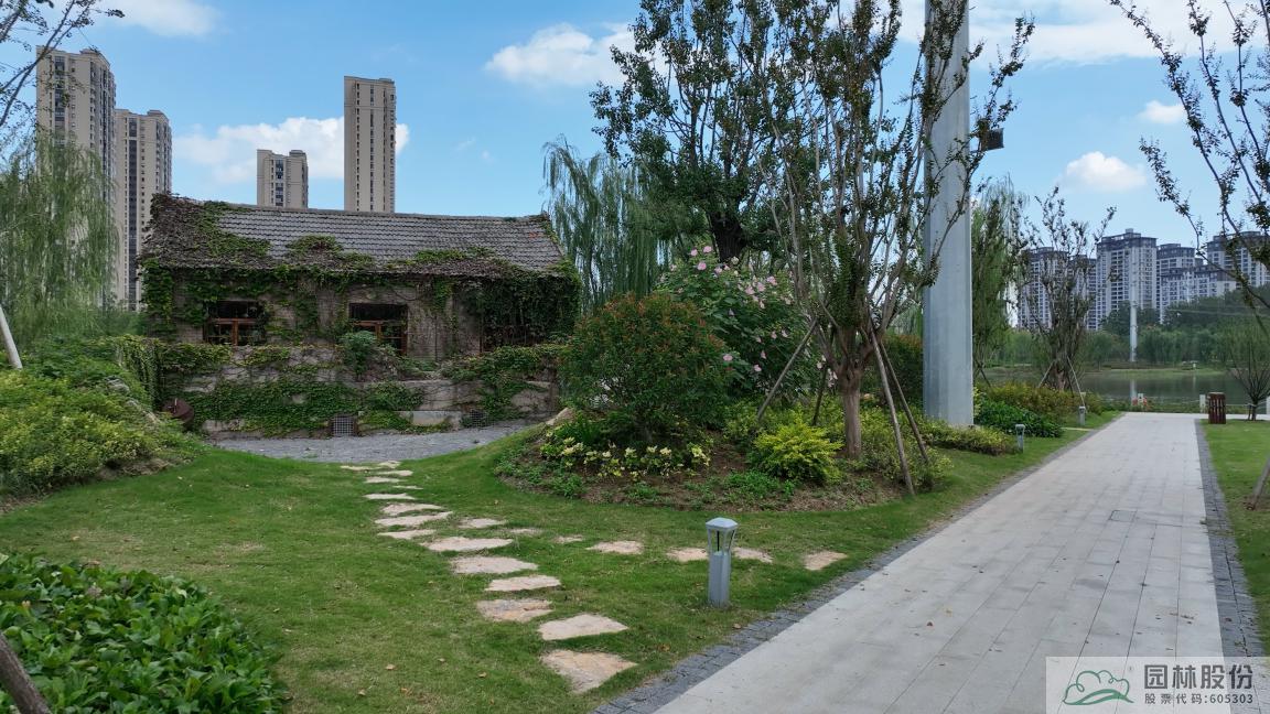 亚洲精品白浆高清久久久久久