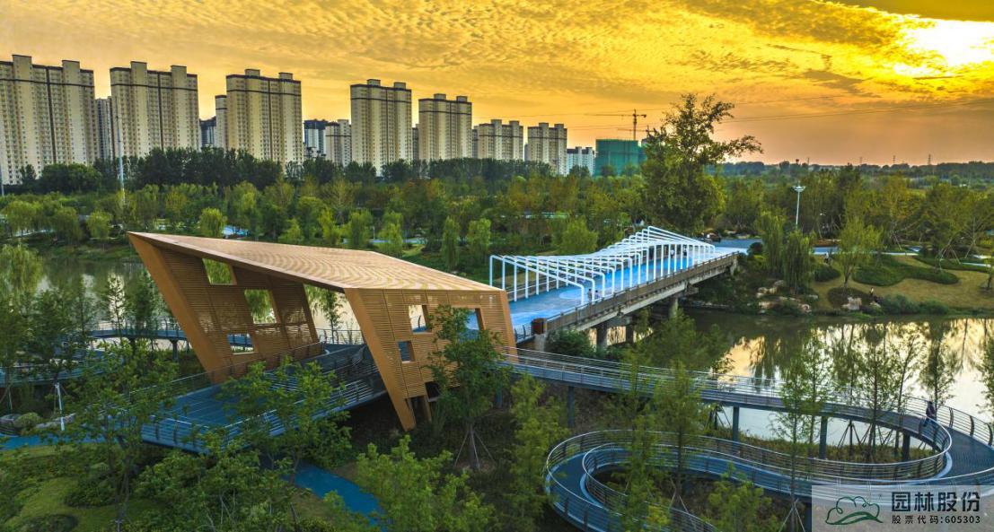 亚洲精品白浆高清久久久久久