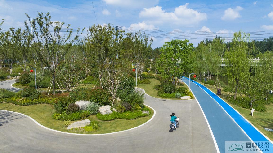 亚洲精品白浆高清久久久久久