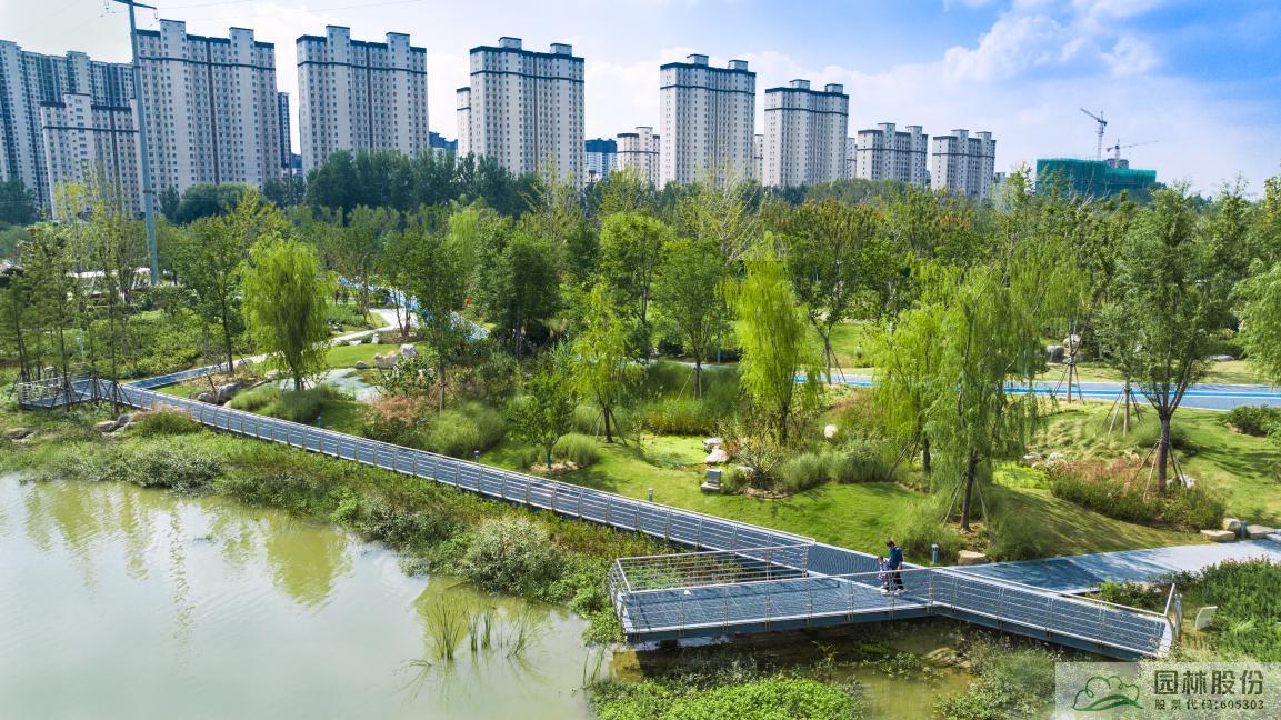 亚洲精品白浆高清久久久久久