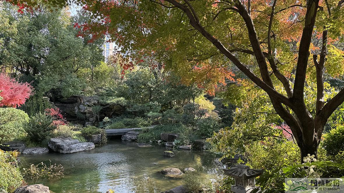 亚洲精品白浆高清久久久久久