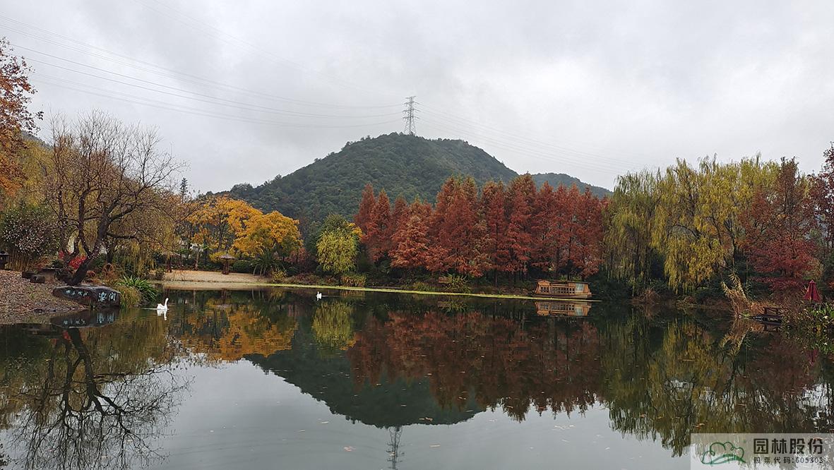 亚洲精品白浆高清久久久久久