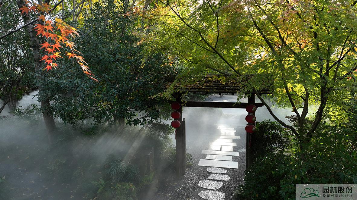 亚洲精品白浆高清久久久久久