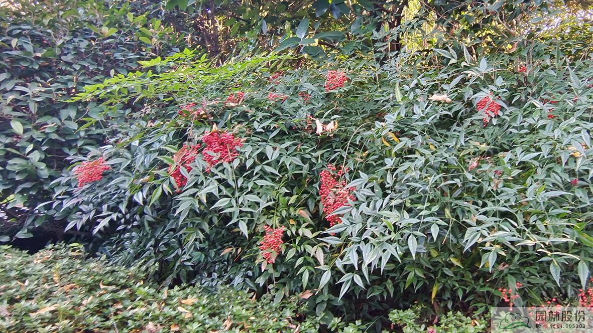 亚洲精品白浆高清久久久久久