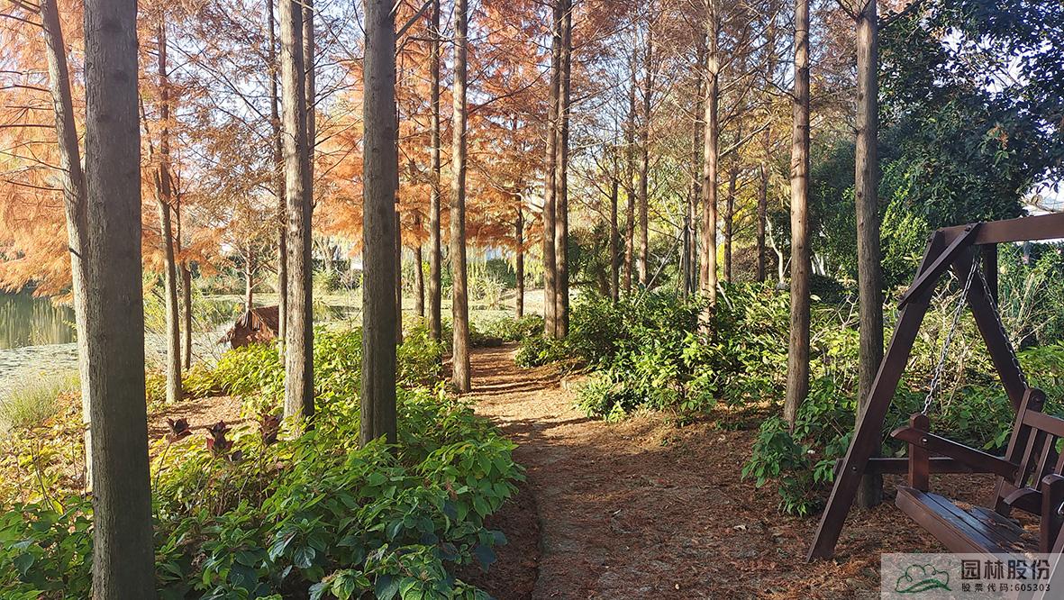 亚洲精品白浆高清久久久久久