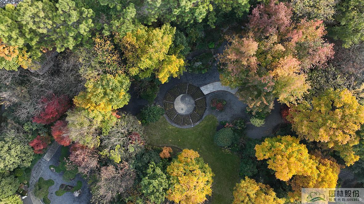 亚洲精品白浆高清久久久久久