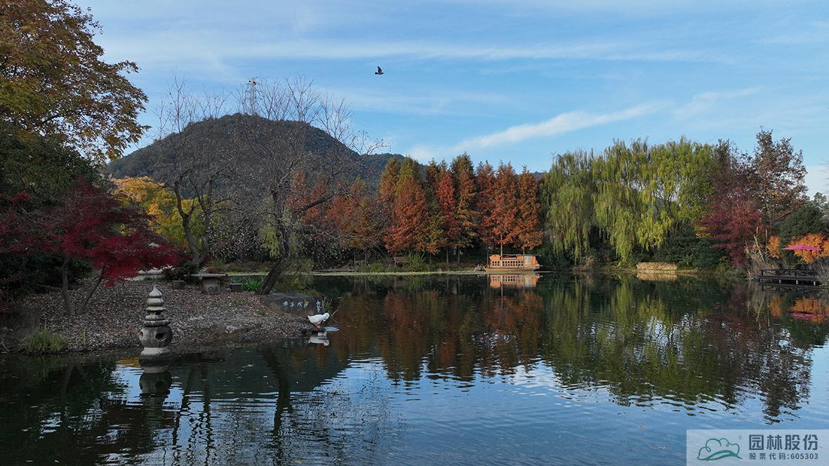 亚洲精品白浆高清久久久久久