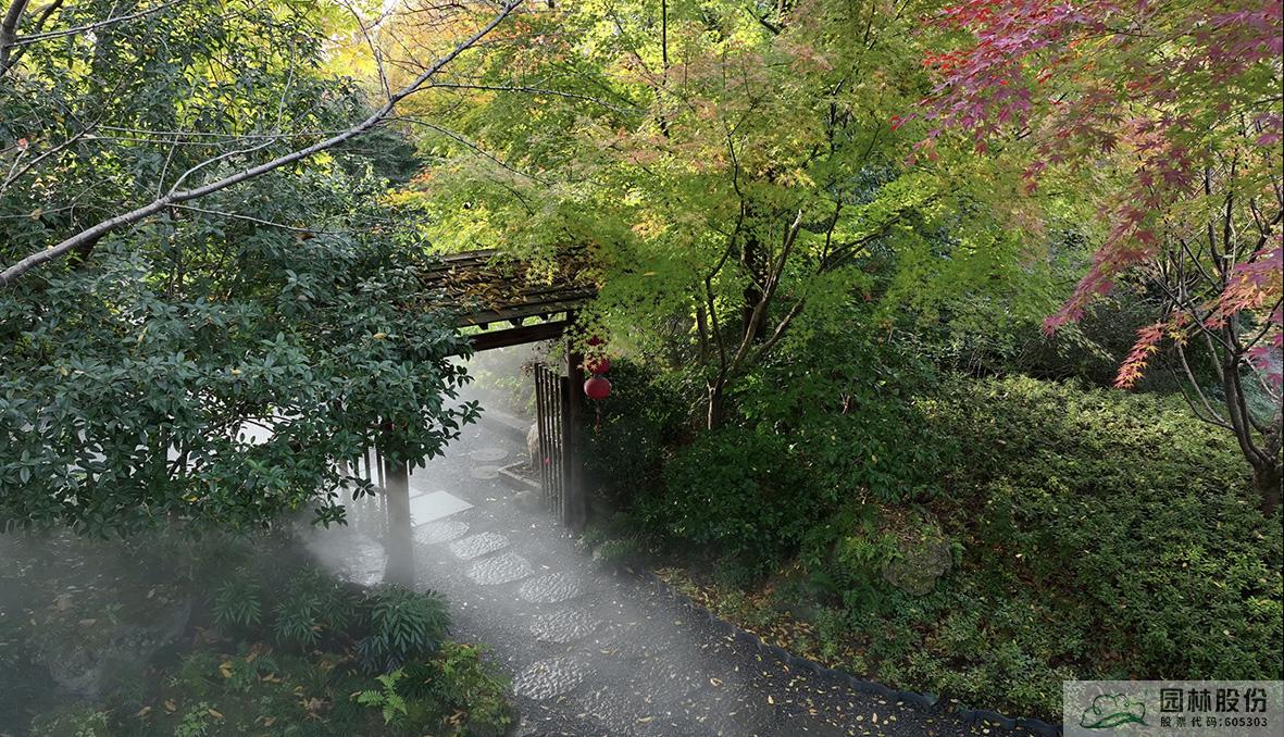 亚洲精品白浆高清久久久久久