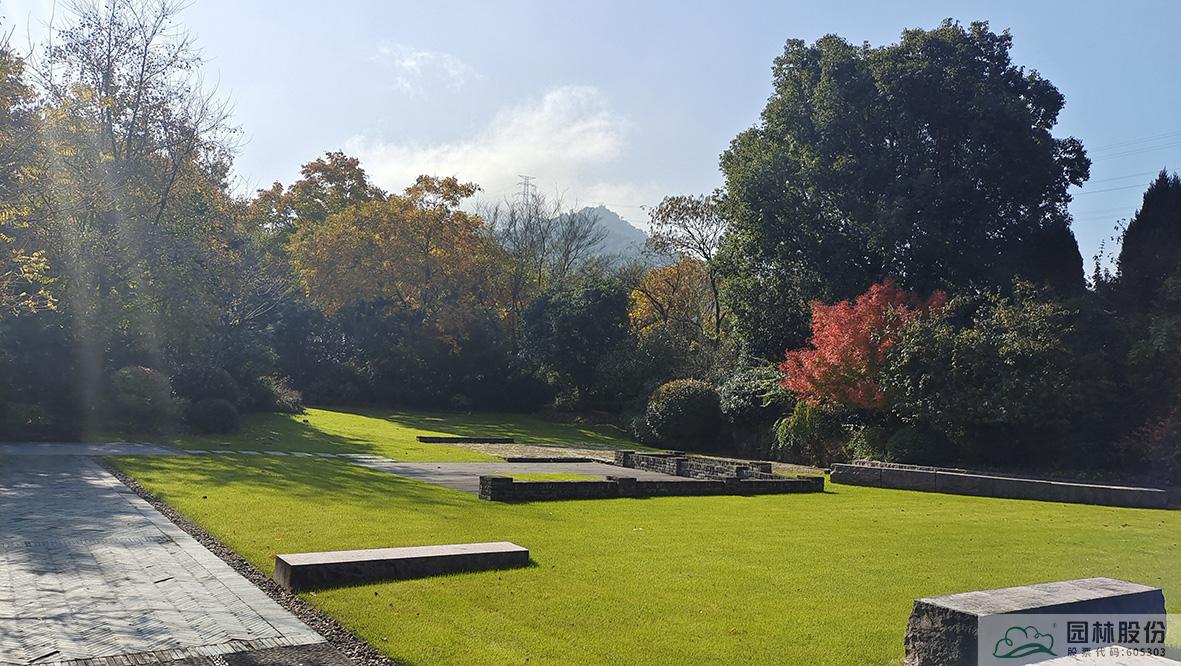 亚洲精品白浆高清久久久久久