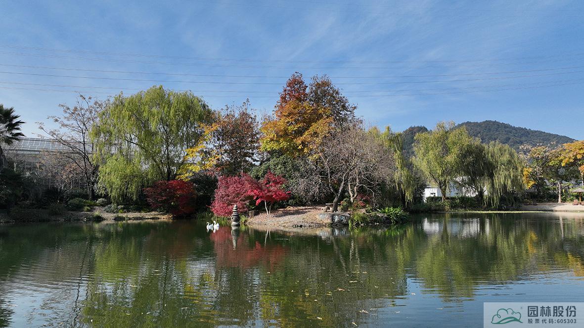 亚洲精品白浆高清久久久久久