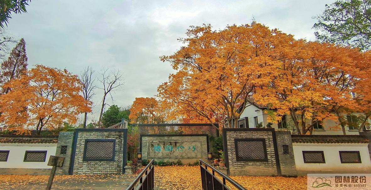 亚洲精品白浆高清久久久久久