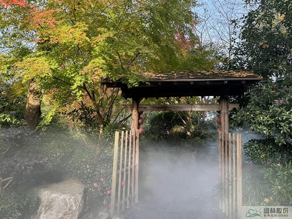 亚洲精品白浆高清久久久久久