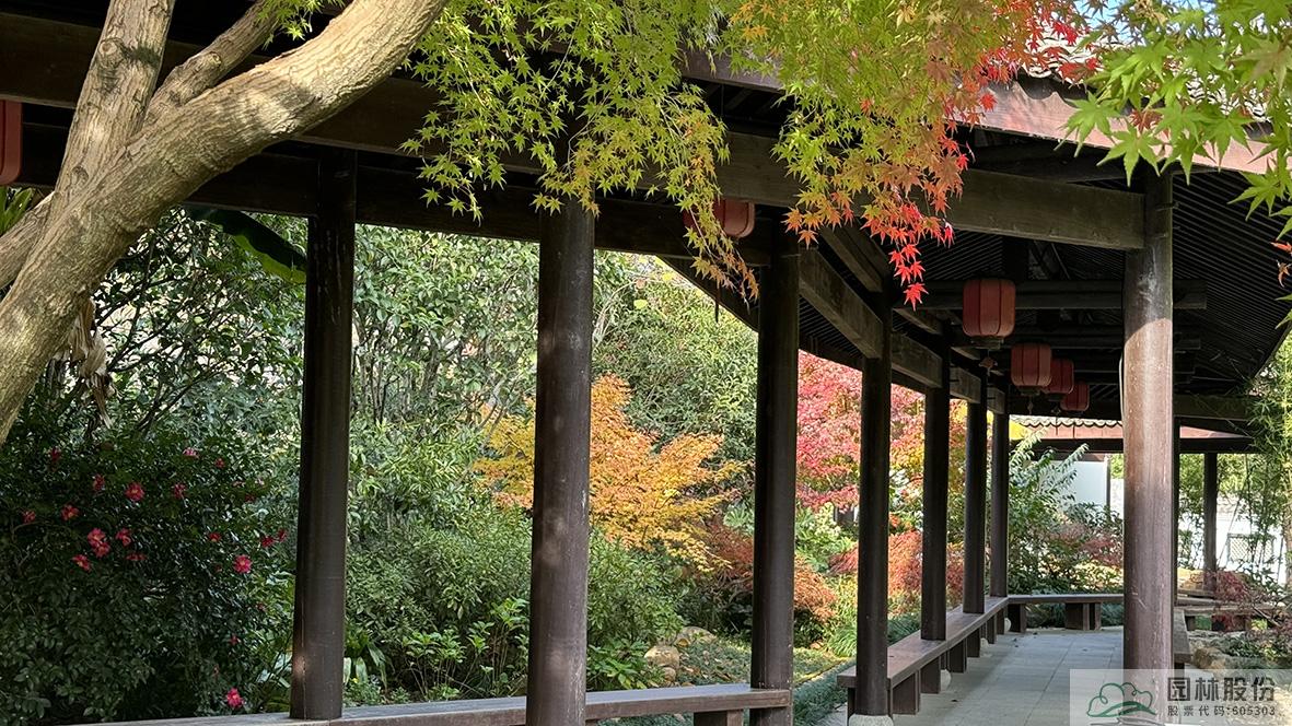 亚洲精品白浆高清久久久久久