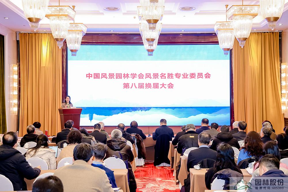 亚洲精品白浆高清久久久久久