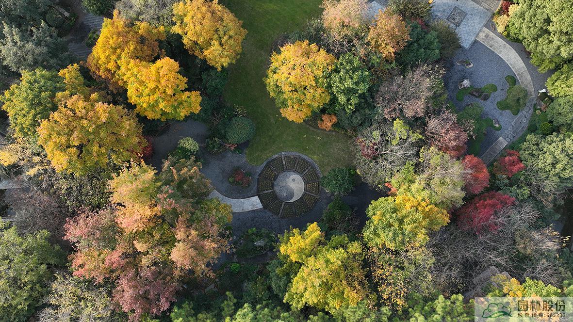 亚洲精品白浆高清久久久久久