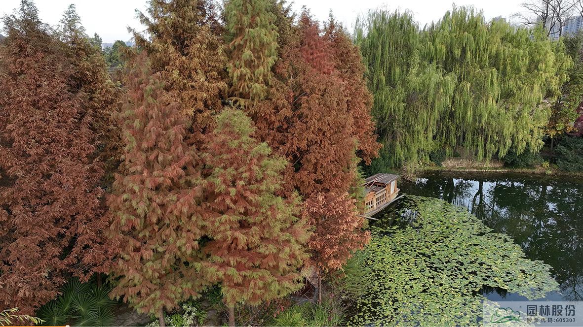 亚洲精品白浆高清久久久久久