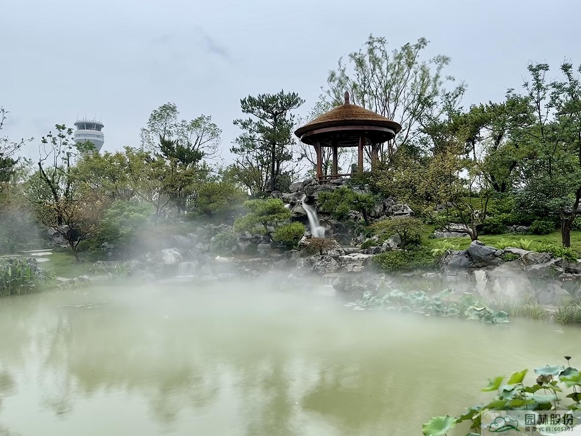 亚洲精品白浆高清久久久久久