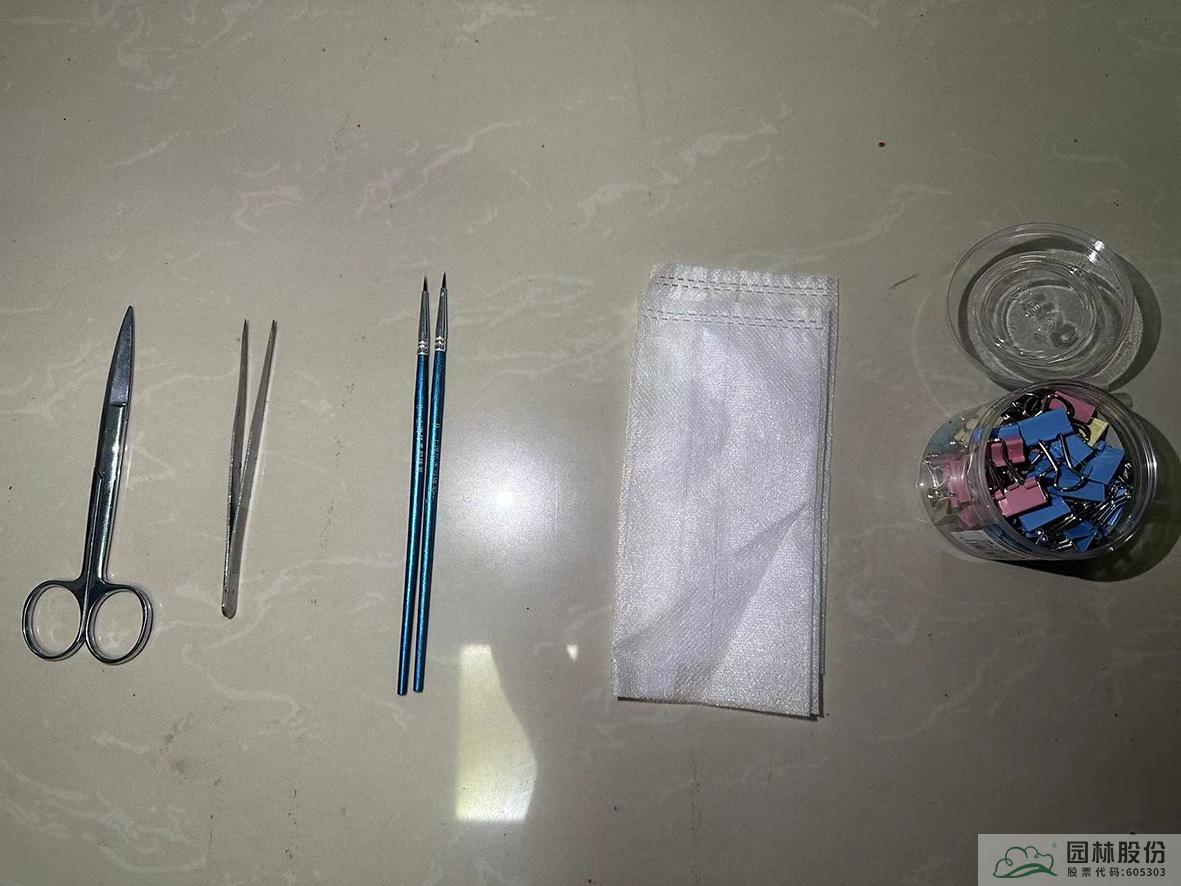 亚洲精品白浆高清久久久久久