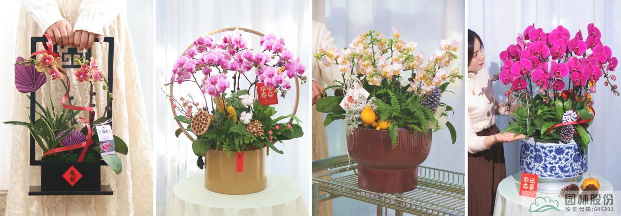 亚洲精品白浆高清久久久久久