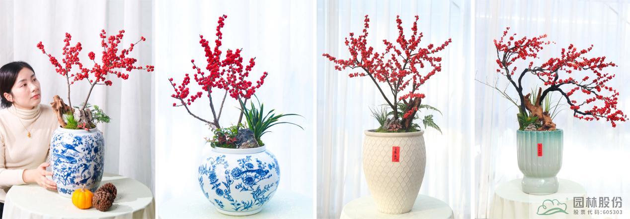 亚洲精品白浆高清久久久久久