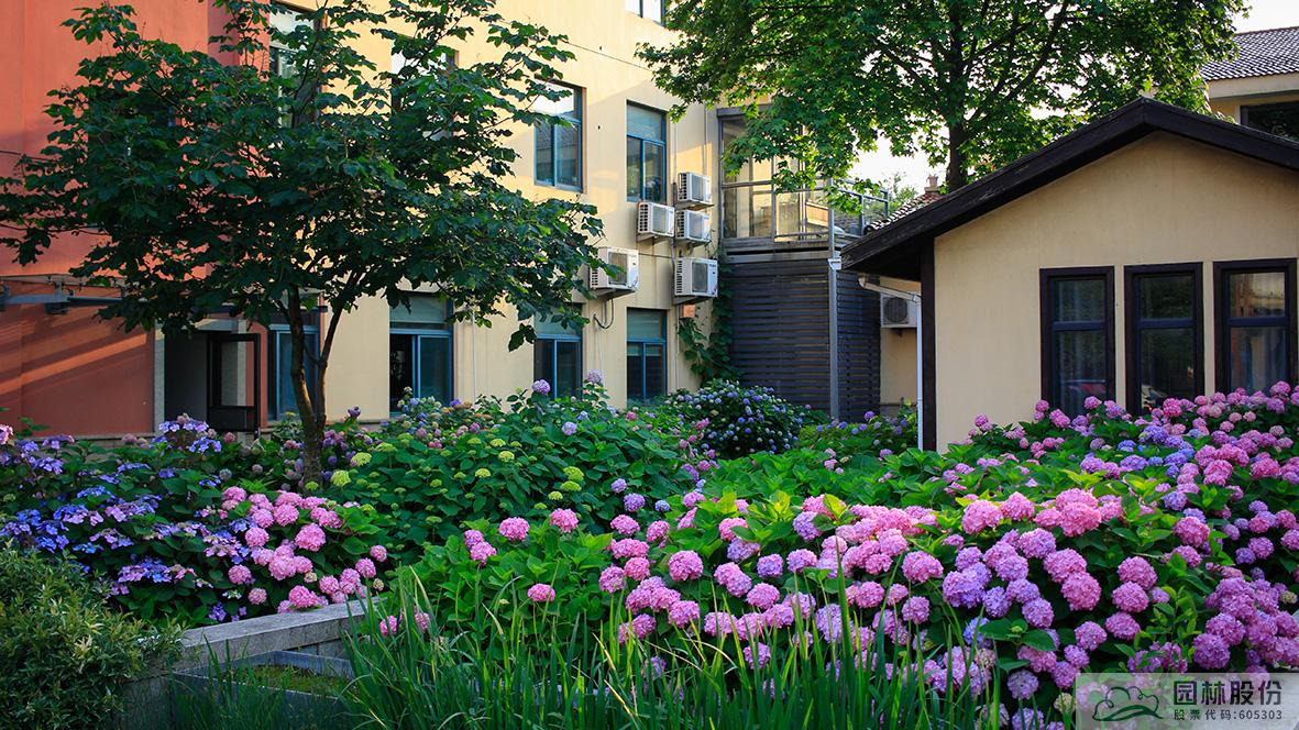 亚洲精品白浆高清久久久久久