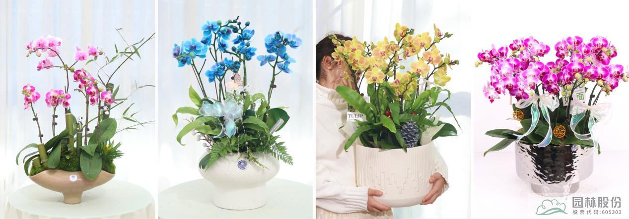 亚洲精品白浆高清久久久久久