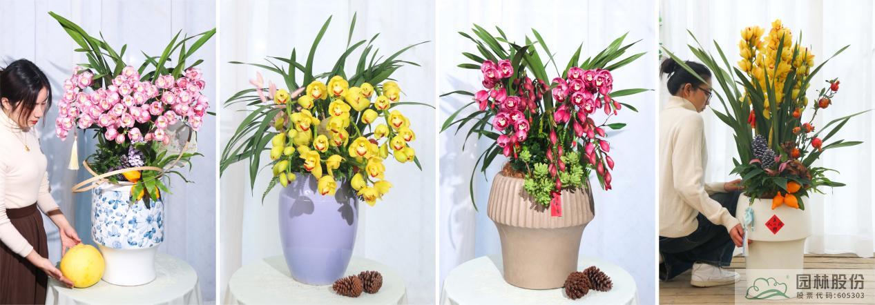 亚洲精品白浆高清久久久久久