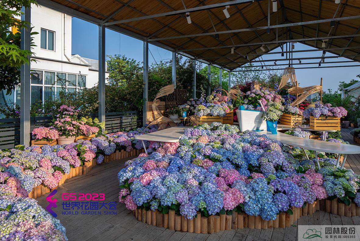 亚洲精品白浆高清久久久久久