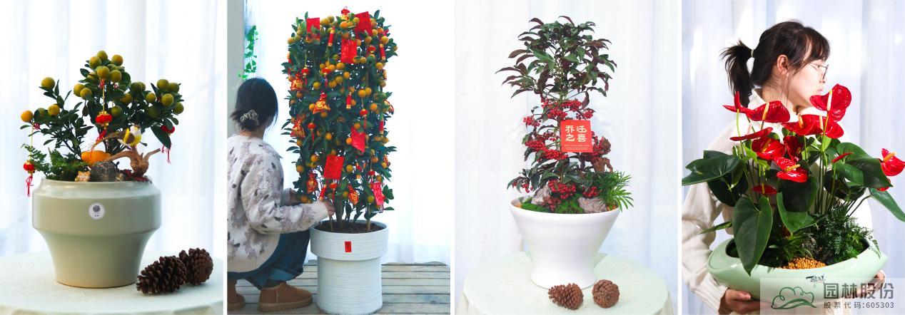 亚洲精品白浆高清久久久久久