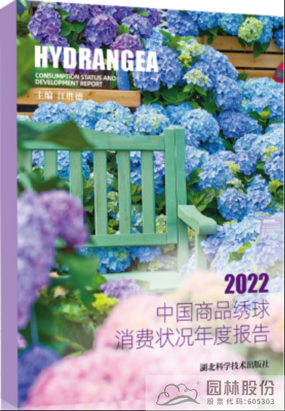 亚洲精品白浆高清久久久久久