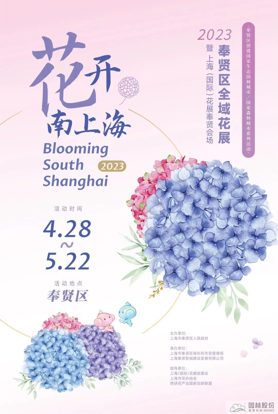 亚洲精品白浆高清久久久久久