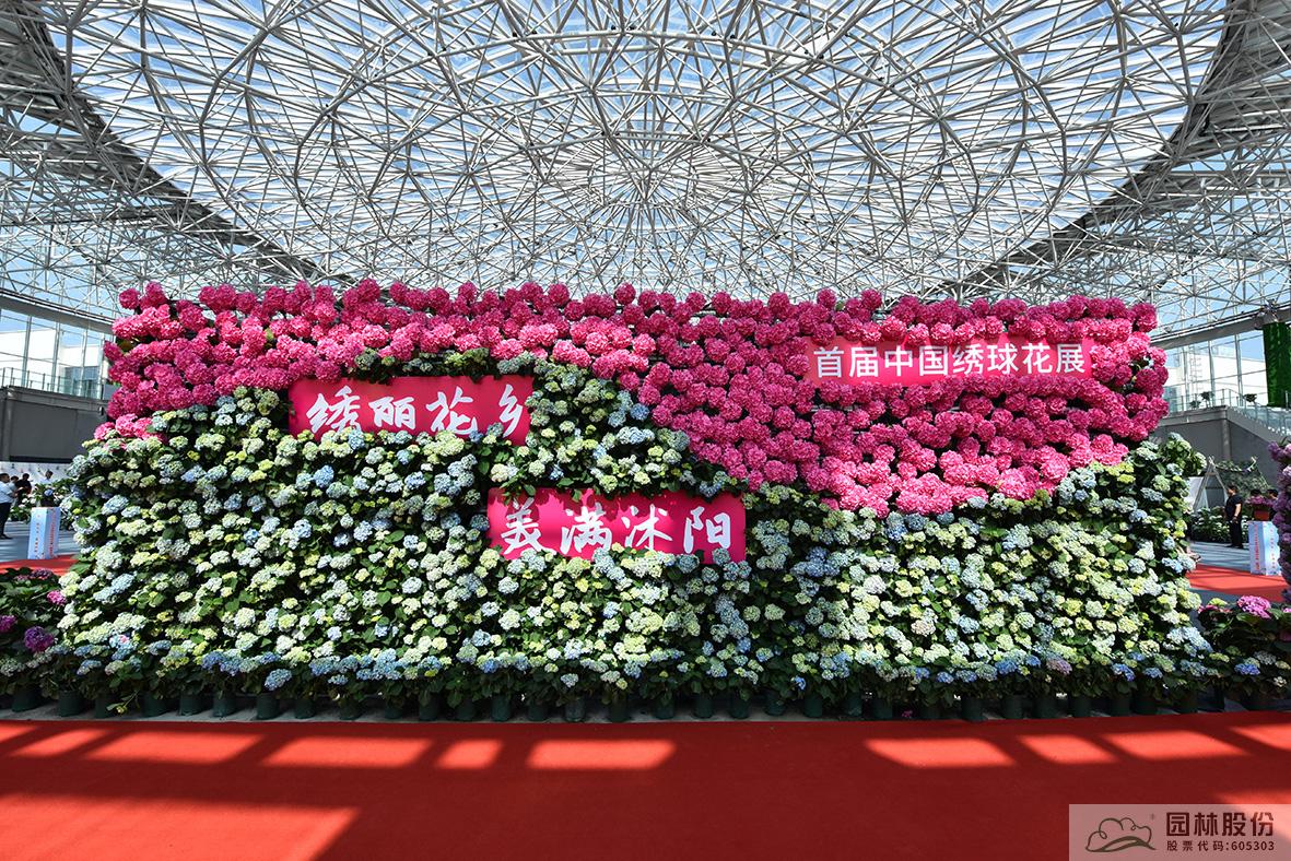 亚洲精品白浆高清久久久久久