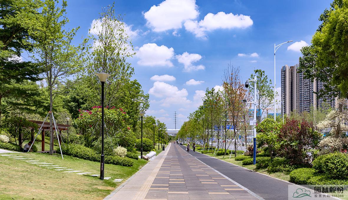 亚洲精品白浆高清久久久久久