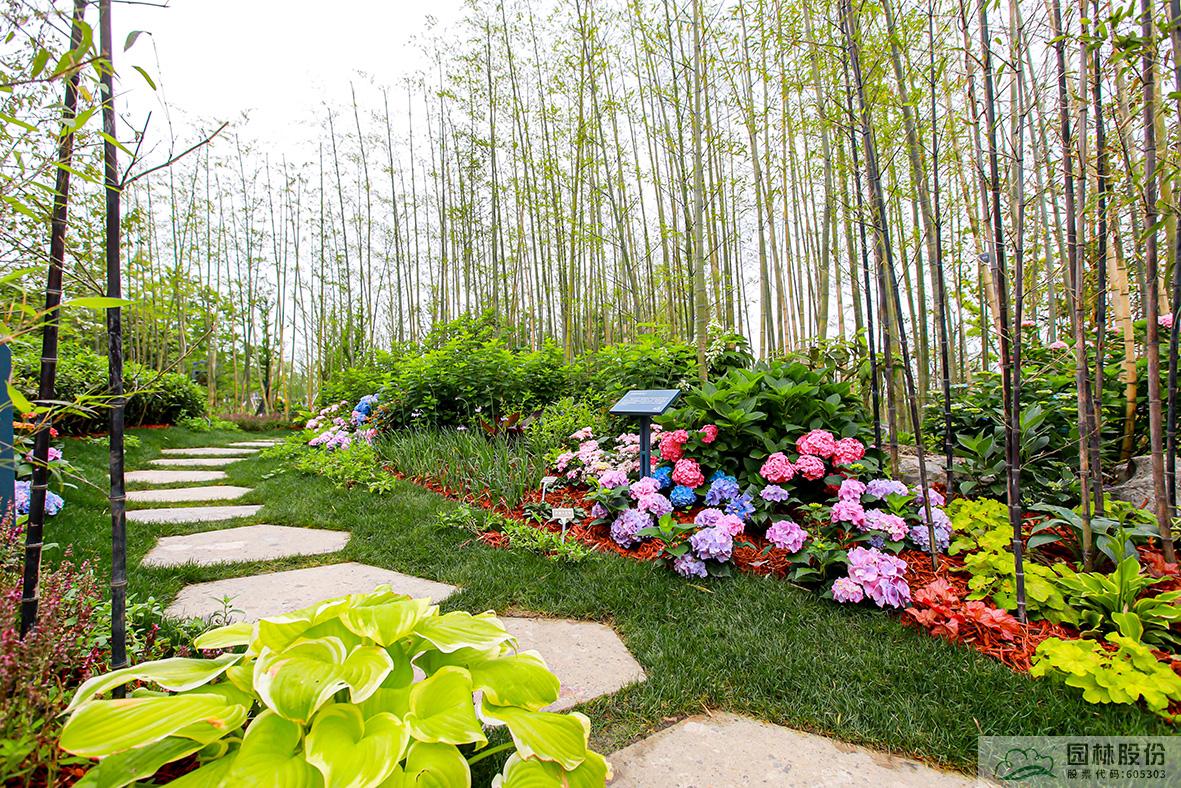 亚洲精品白浆高清久久久久久