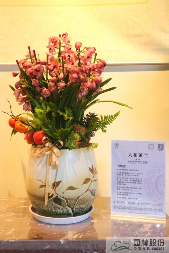 亚洲精品白浆高清久久久久久