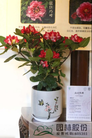 亚洲精品白浆高清久久久久久