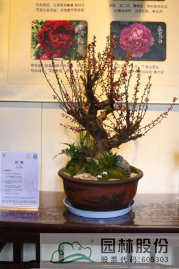 亚洲精品白浆高清久久久久久