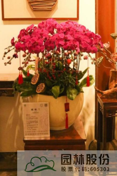 亚洲精品白浆高清久久久久久