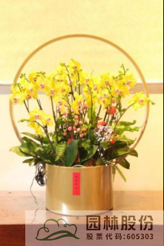 亚洲精品白浆高清久久久久久