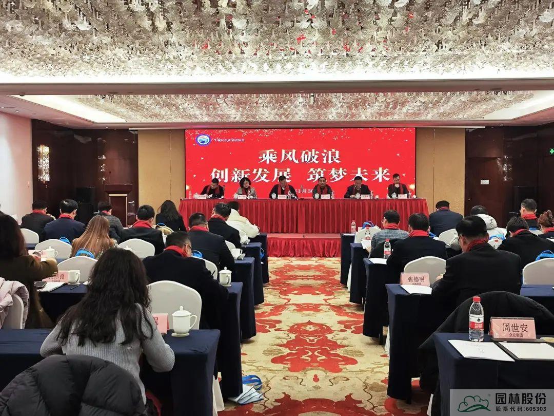 亚洲精品白浆高清久久久久久