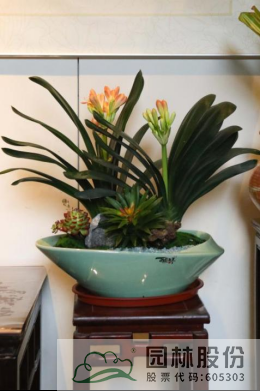 亚洲精品白浆高清久久久久久