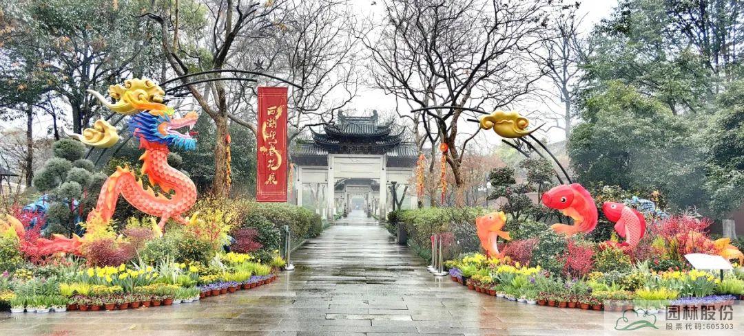 亚洲精品白浆高清久久久久久