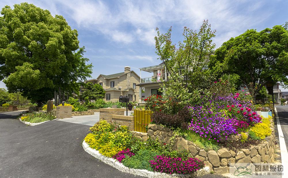 亚洲精品白浆高清久久久久久