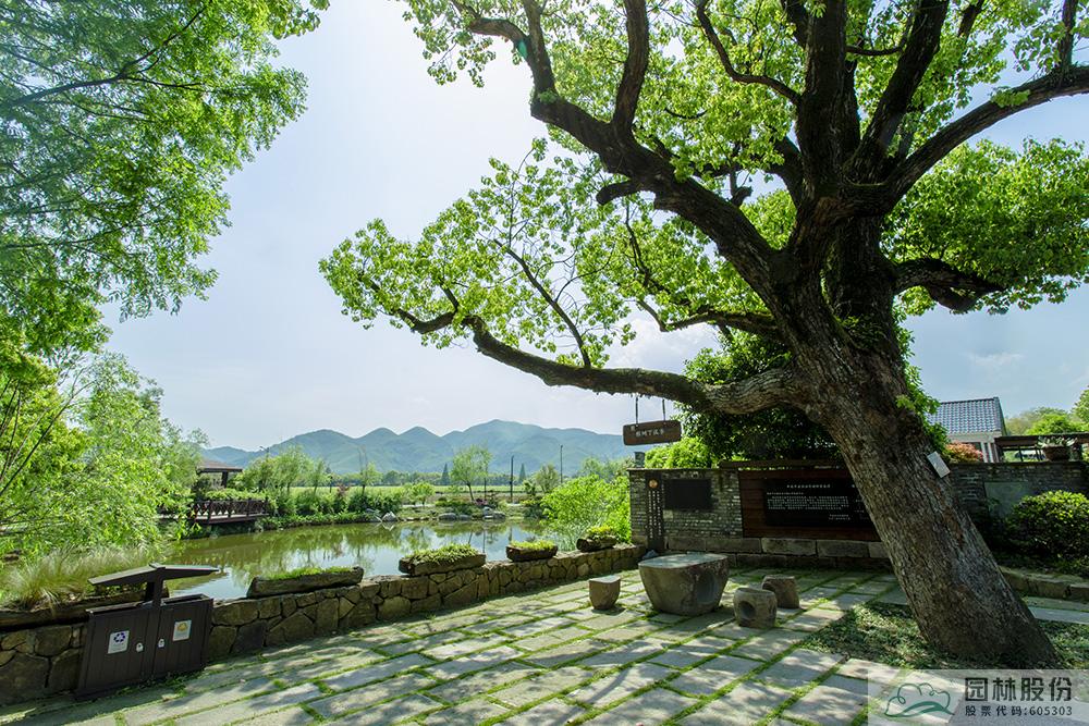 亚洲精品白浆高清久久久久久