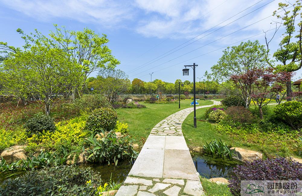 亚洲精品白浆高清久久久久久