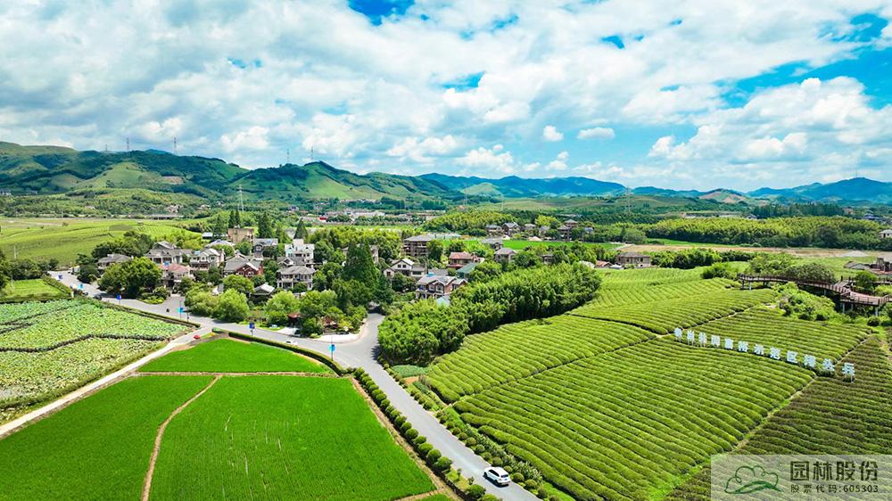 亚洲精品白浆高清久久久久久