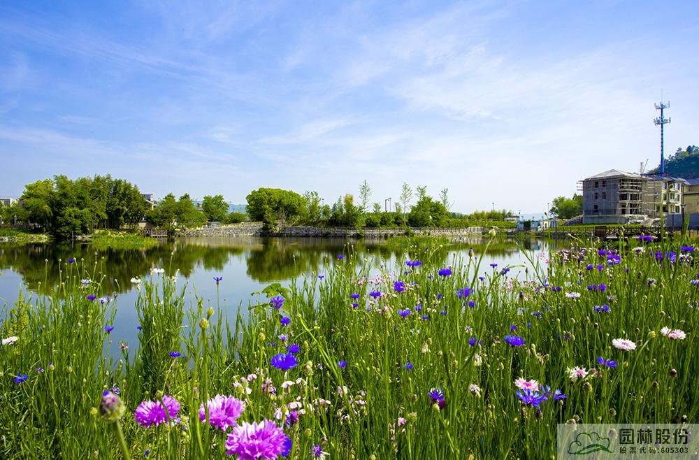 亚洲精品白浆高清久久久久久