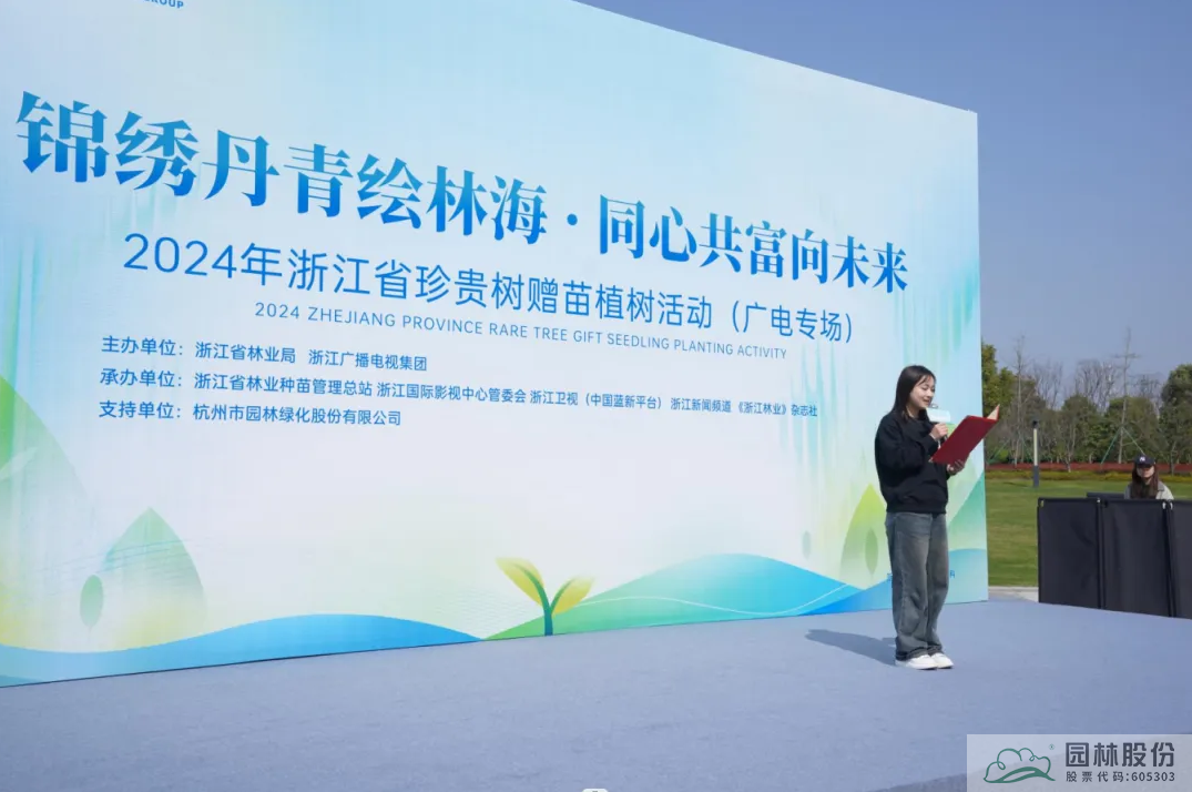 亚洲精品白浆高清久久久久久