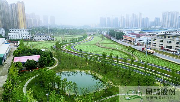 亚洲精品白浆高清久久久久久